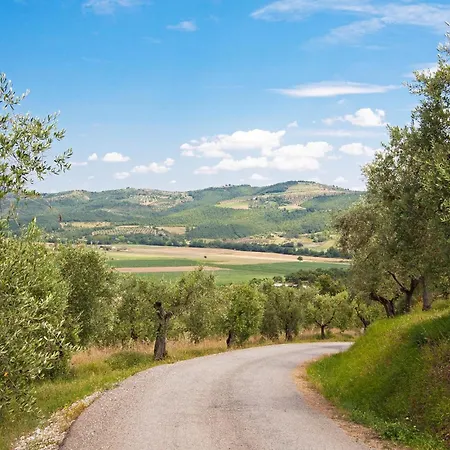 Gorgeous In Castiglione Del *